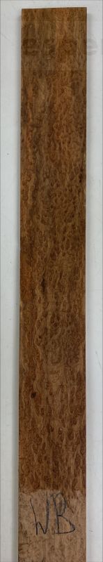 Fretboard Bird's Eye Maple white 800x78x9mm Unique Piece #028